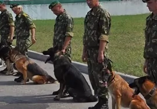 Благочинный церквей Вяземского округа поздравил военнослужащих Пограничного кинологического учебного центра ФСБ России с 26-й годовщиной со дня образования