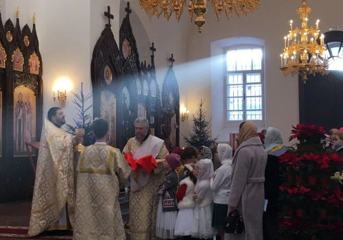 Детская Литургия в Благовещенском соборе г.Гагарин