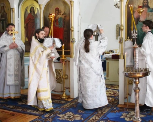 Служение Епископа Сергия в Лазареву субботу